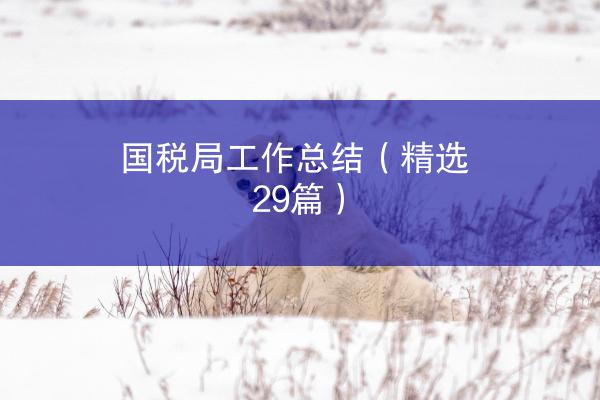 国税局工作总结（精选29篇）