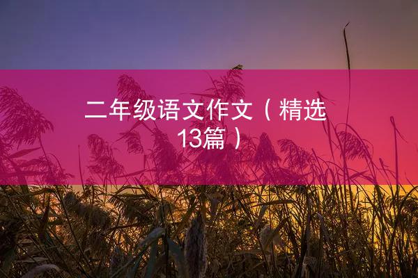 二年级语文作文（精选13篇）