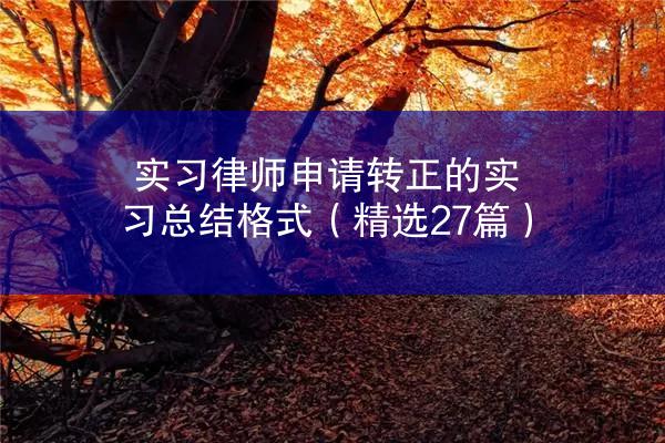 实习律师申请转正的实习总结格式（精选27篇）