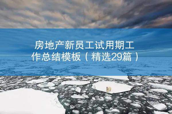 房地产新员工试用期工作总结模板（精选29篇）