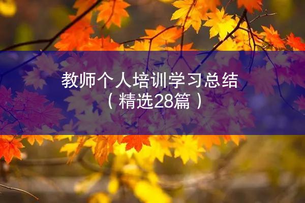 教师个人培训学习总结（精选28篇）