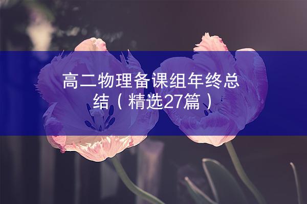 高二物理备课组年终总结（精选27篇）