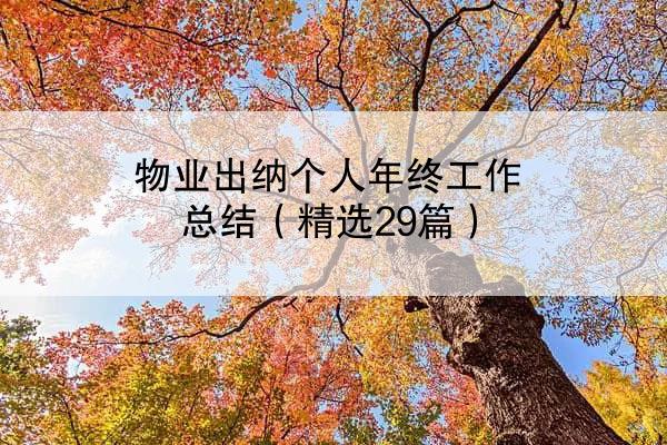 物业出纳个人年终工作总结（精选29篇）