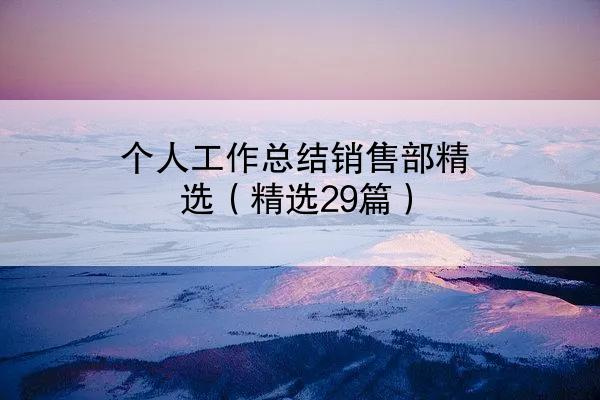 个人工作总结销售部精选（精选29篇）