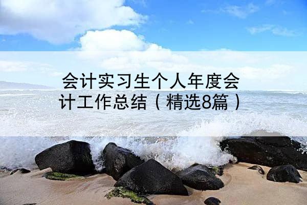 会计实习生个人年度会计工作总结（精选8篇）