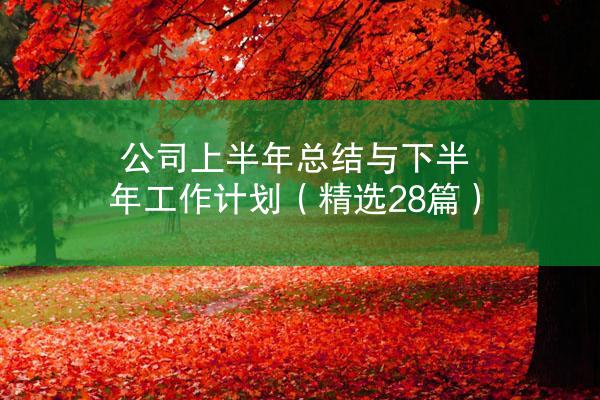 公司上半年总结与下半年工作计划（精选28篇）