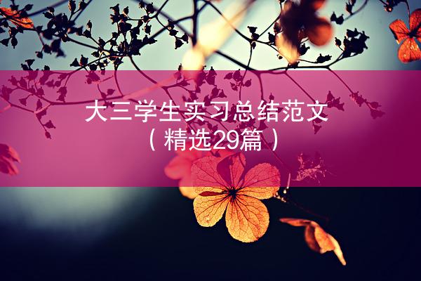 大三学生实习总结范文（精选29篇）