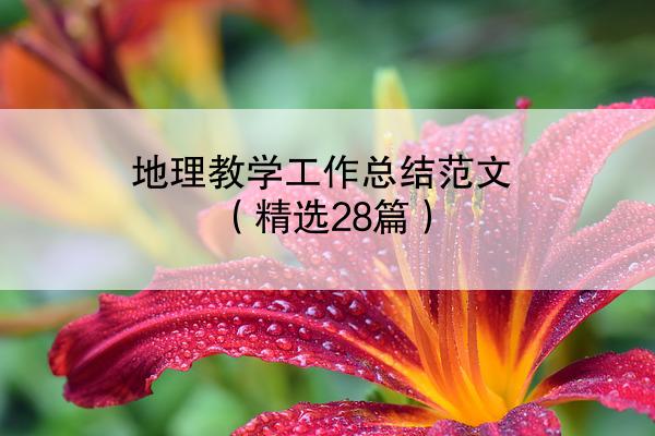 地理教学工作总结范文（精选28篇）