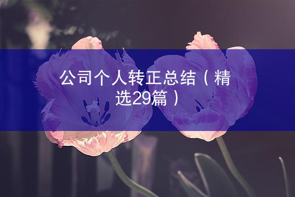 公司个人转正总结（精选29篇）