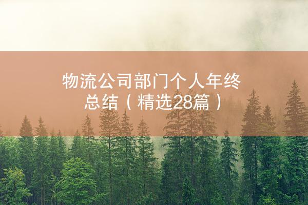 物流公司部门个人年终总结（精选28篇）