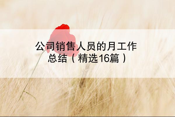 公司销售人员的月工作总结（精选16篇）