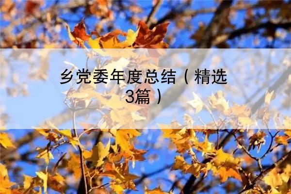 乡党委年度总结（精选3篇）