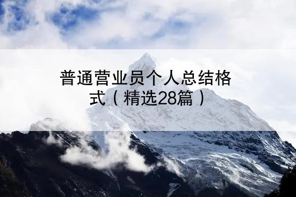 普通营业员个人总结格式（精选28篇）