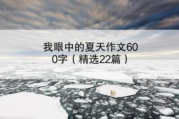 我眼中的夏天作文600字（精选22篇）