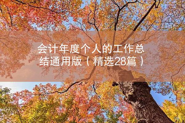 会计年度个人的工作总结通用版（精选28篇）