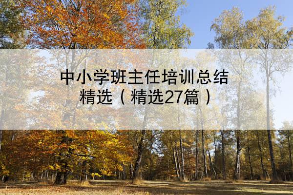 中小学班主任培训总结精选（精选27篇）