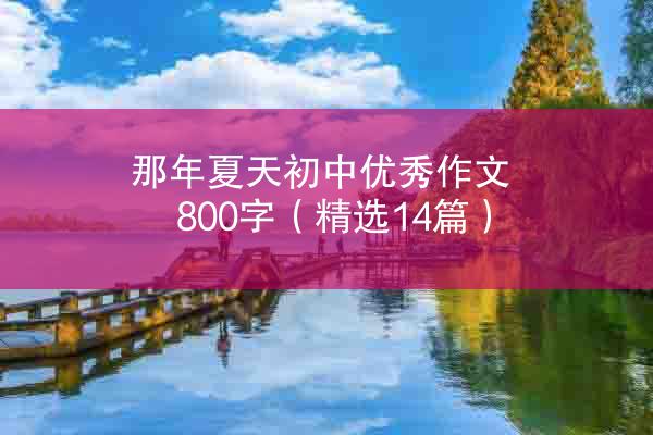 那年夏天初中优秀作文800字（精选14篇）