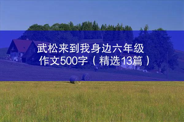 武松来到我身边六年级作文500字（精选13篇）