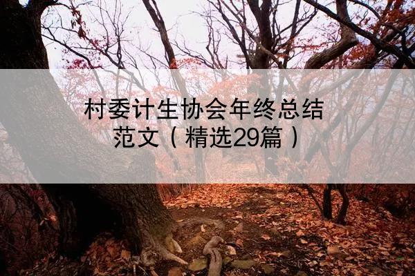 村委计生协会年终总结范文（精选29篇）