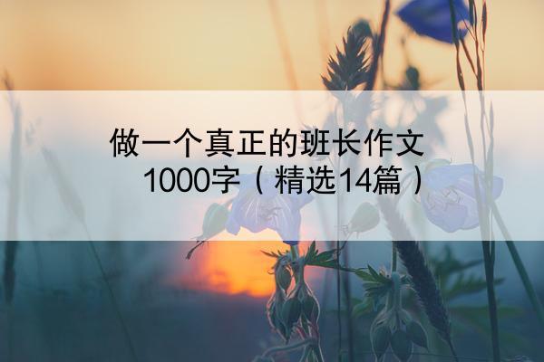 做一个真正的班长作文1000字（精选14篇）