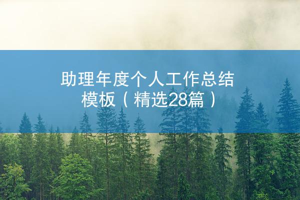 助理年度个人工作总结模板（精选28篇）