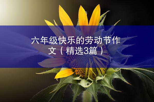 六年级快乐的劳动节作文（精选3篇）