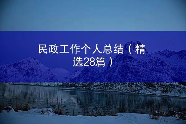 民政工作个人总结（精选28篇）