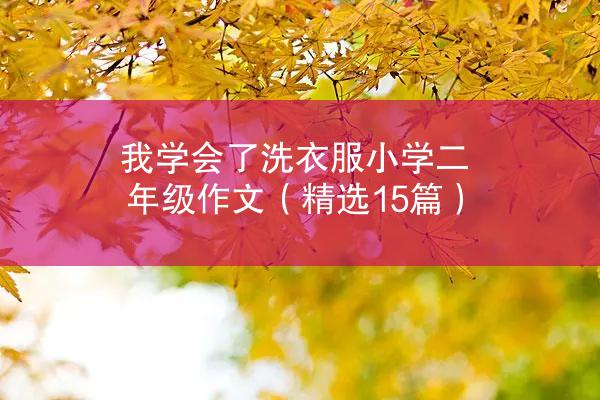 我学会了洗衣服小学二年级作文（精选15篇）