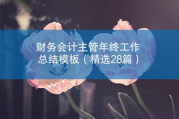 财务会计主管年终工作总结模板（精选28篇）