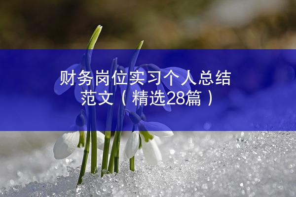 财务岗位实习个人总结范文（精选28篇）