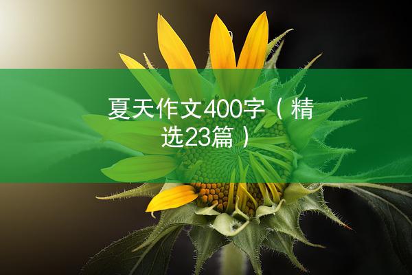 夏天作文400字（精选23篇）