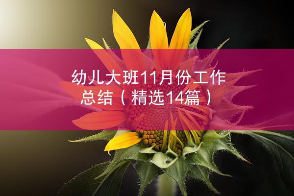 幼儿大班11月份工作总结（精选14篇）