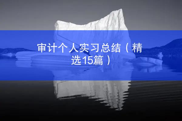 审计个人实习总结（精选15篇）