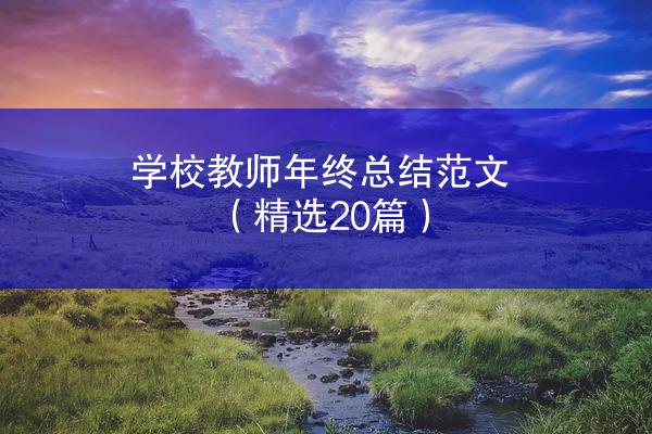 学校教师年终总结范文（精选20篇）