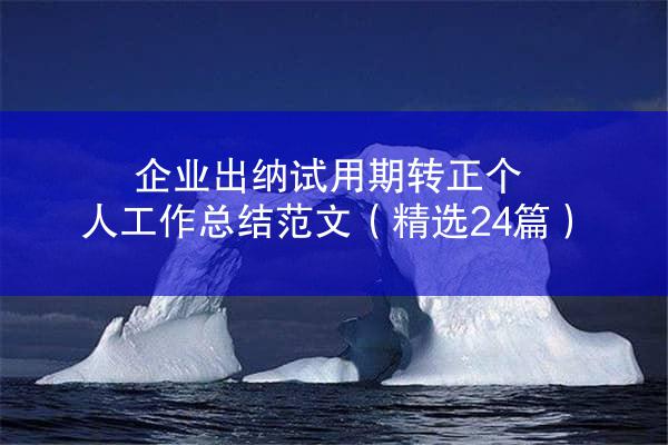 企业出纳试用期转正个人工作总结范文（精选24篇）