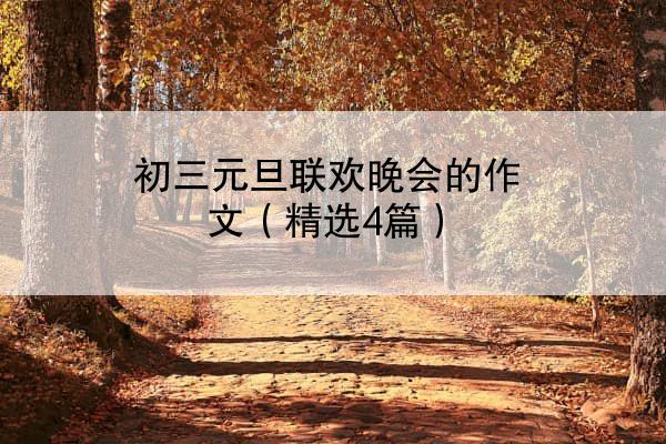 初三元旦联欢晚会的作文（精选4篇）