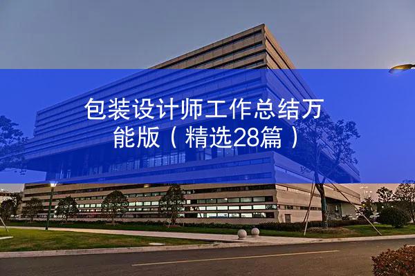 包装设计师工作总结万能版（精选28篇）