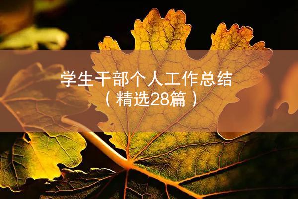 学生干部个人工作总结（精选28篇）