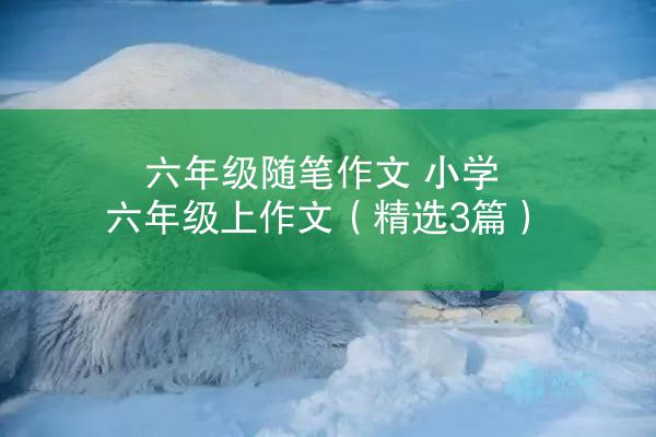 六年级随笔作文 小学六年级上作文（精选3篇）