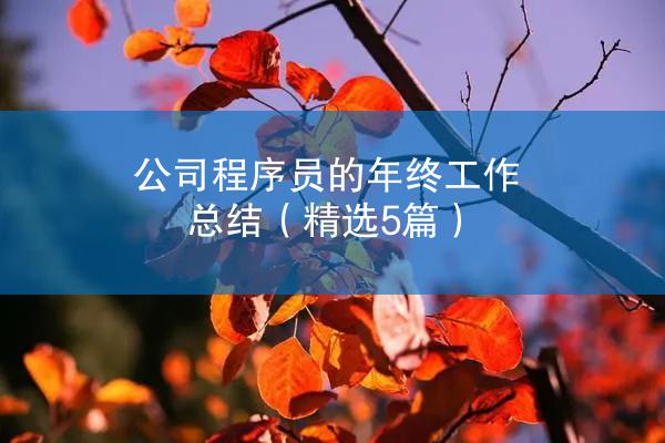 公司程序员的年终工作总结（精选5篇）