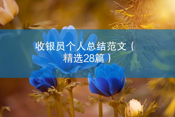 收银员个人总结范文（精选28篇）