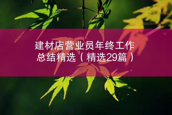 建材店营业员年终工作总结精选（精选29篇）