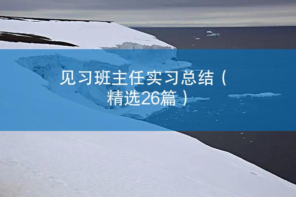 见习班主任实习总结（精选26篇）