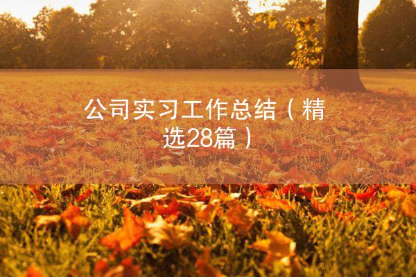 公司实习工作总结（精选28篇）