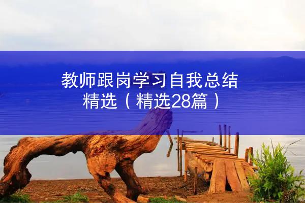 教师跟岗学习自我总结精选（精选28篇）