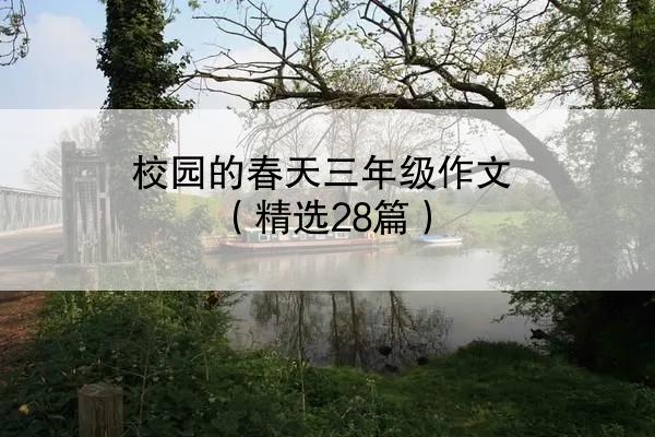 校园的春天三年级作文（精选28篇）