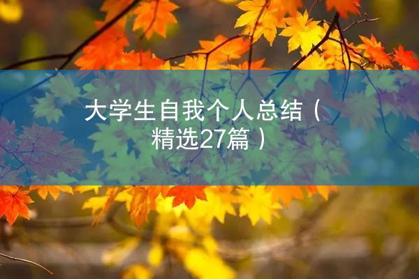 大学生自我个人总结（精选27篇）