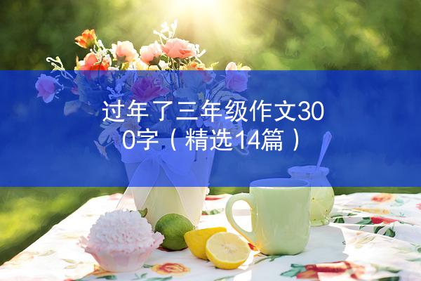 过年了三年级作文300字（精选14篇）