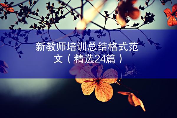 新教师培训总结格式范文（精选24篇）