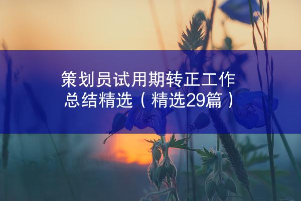 策划员试用期转正工作总结精选（精选29篇）